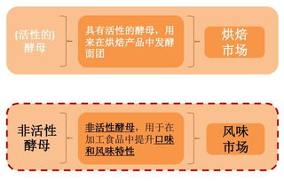 活色添香 的小小酵母,百亿美元市场的背后是谁在叱咤风云
