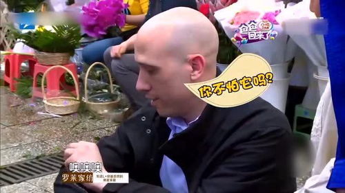 星二代英语有多好 吴尊儿子讲英语沙溢一脸懵,小小春在线翻译