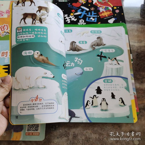 巧虎乐智小天地 78册合售 大小开本都有 宝宝进阶版3本,幼幼版小小班11本,快乐版小班43本,成长版中班21本 每本书都有图片展示