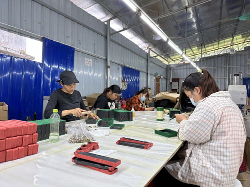防城区十万山瑶族乡 小小微工厂,托起群众增收梦