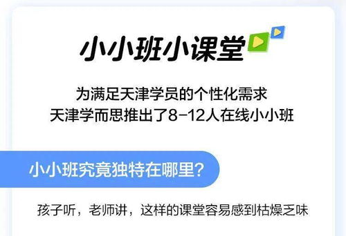 真相揭秘 12人在线小小班教学6步法