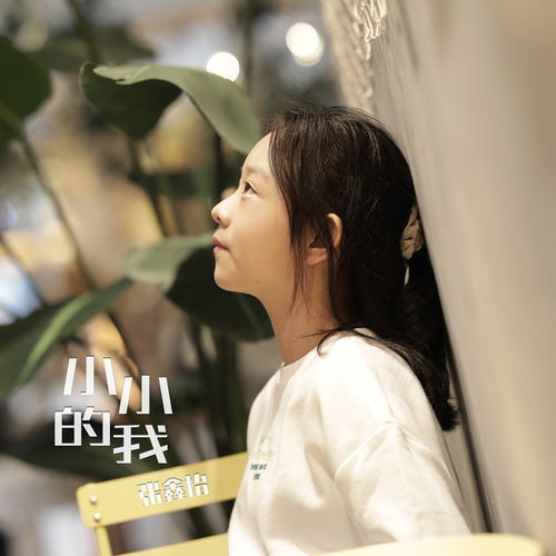 小小的我 张鑫怡 高音质在线试听 小小的我歌词 歌曲下载 酷狗音乐