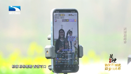 《是这个理》:洪湖藕飘香